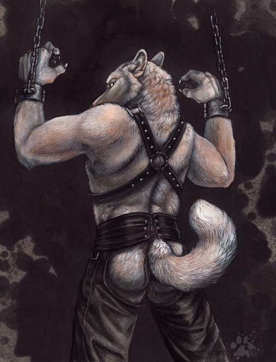 assless_chaps back back_turned bdsm blotch bondage bound butt canine chain chaps claws fur looking_at_viewer looking_back male mammal raised_arm shackle solo standing tail topless white white_fur wolf