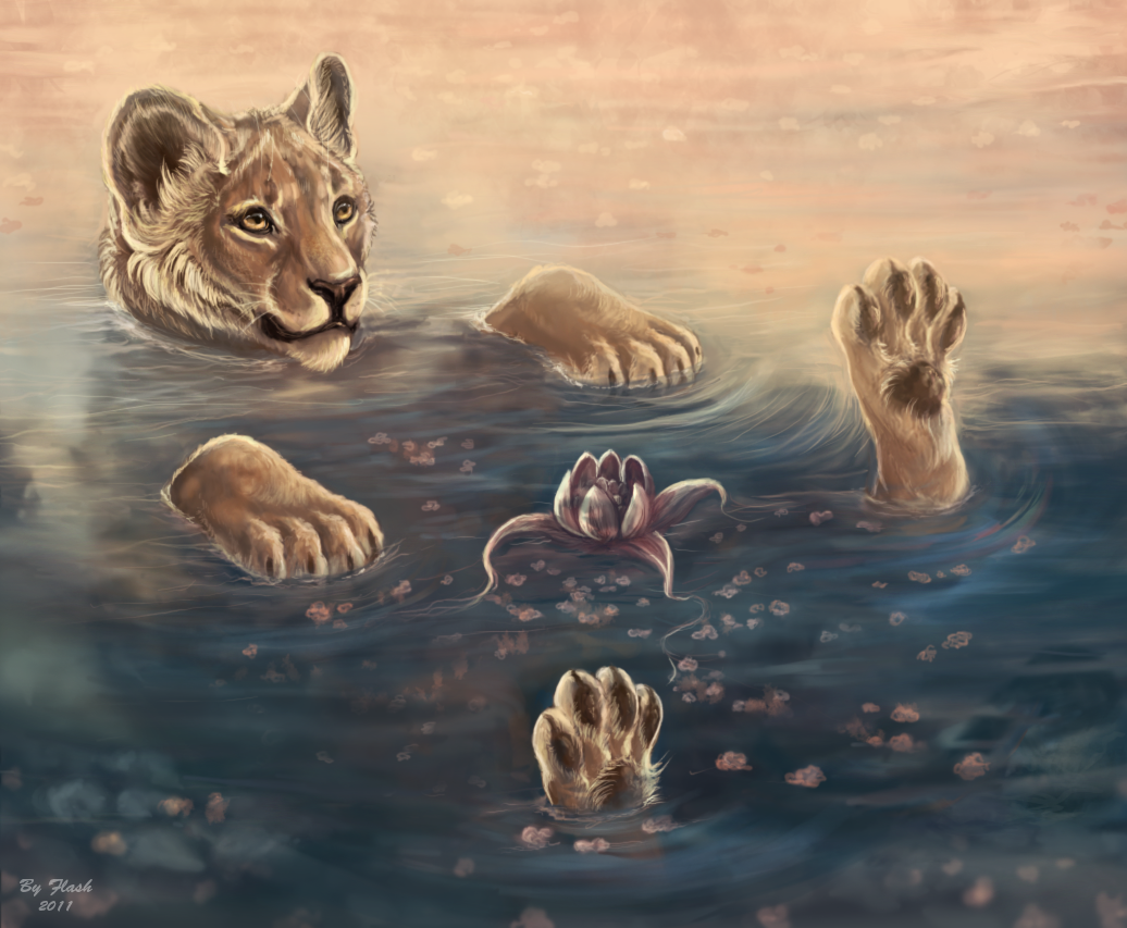 cub feline feral flash_lioness floating flower hindpaw lion lotus mammal nature outside pawpads paws solo water young