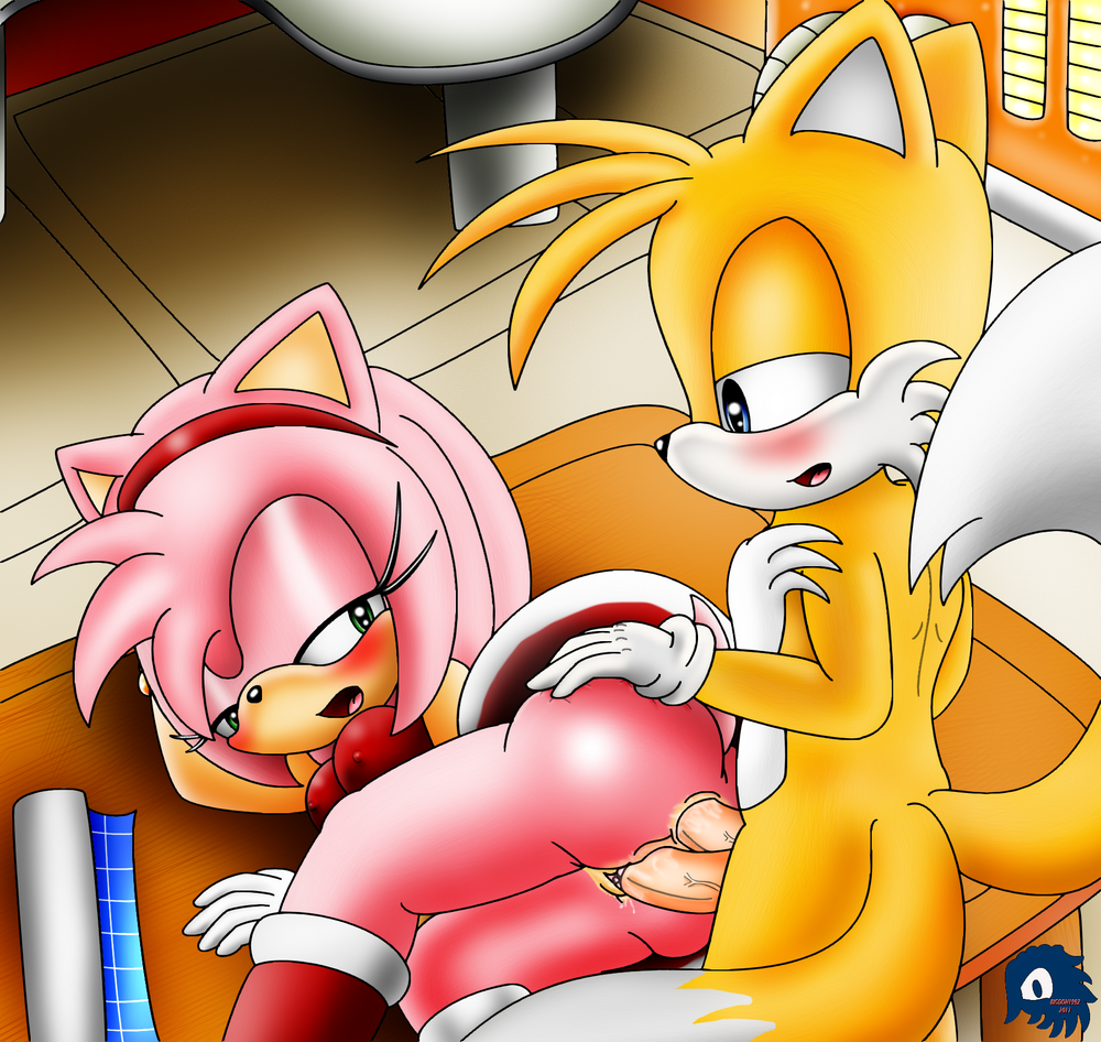 2_cocks amy amy_rose anal bigdon1992 bigdon992 blush breasts butt canine clothing diphallism erection female flower fox hedgehog interspecies male mammal miles_prower multi_cock nipples penetration penis pussy rose sega sex sonic_(series) straight tail the workshop