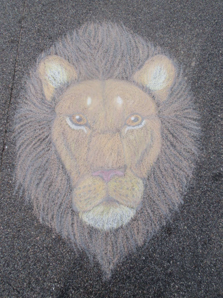 face feline feral lion looking_at_viewer male mammal pavement photo real sarvix solo soul_devouring_eyes yellow_eyes