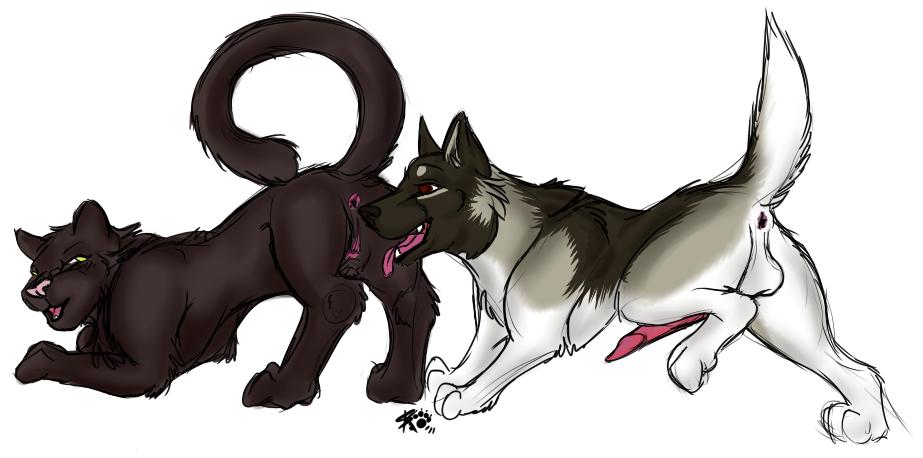 black canine dog feline female feral feral_on_feral fur interspecies k9 knot licking male mammal oral panther penis plain_background pussy sex simple_background sketch sketchkat straight tongue white_background