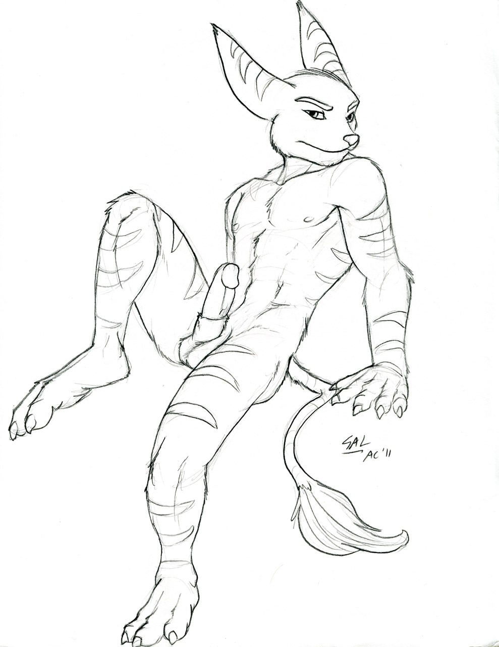 5_fingers anthro arm_support balls bent_legs claws erection front fur hindpaw leaning leaning_back lombax looking_at_viewer male markings monochrome nipples nude paws penis plain_background pose ratchet ratchet_and_clank sheath sitting sketch solo spelunker_sal stripes tail tail_tuft toe_claws tuft white_background zantor