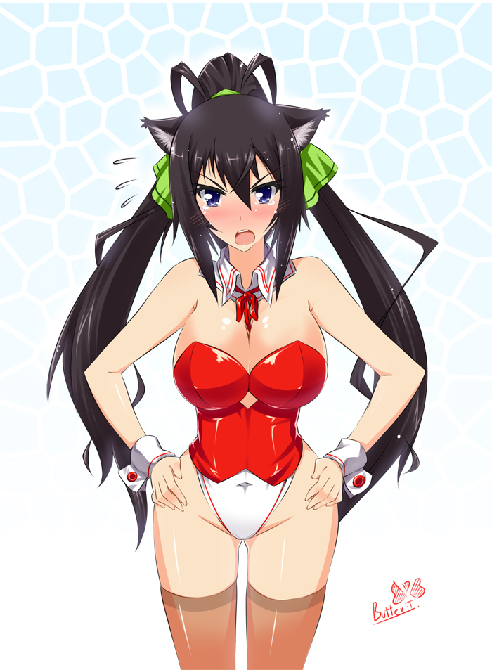 animal_ears black_hair blue_eyes breasts butter-t cat_ears corset detached_collar hands_on_hips highleg highleg_leotard hips infinite_stratos kittysuit large_breasts leotard long_hair ponytail red_leotard shinonono_houki solo split_ponytail thighhighs white_leotard wide_hips wrist_cuffs
