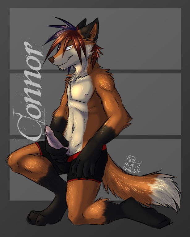 boxers briefs canine connor fox gothwolf holding looking_at_viewer male mammal penis pose solo underwear