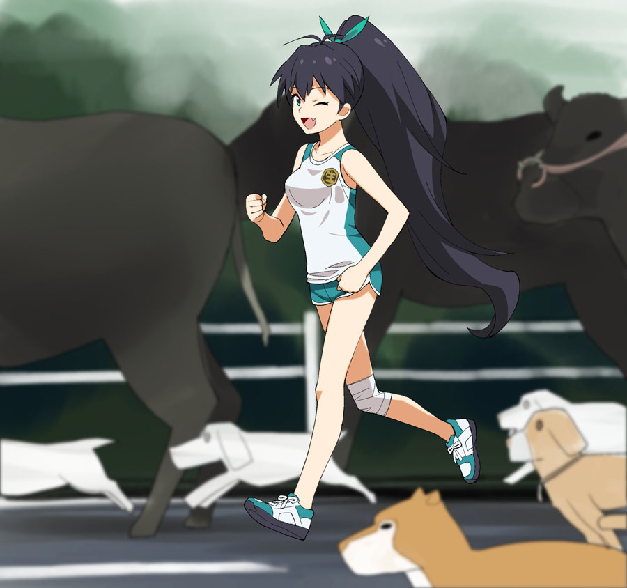 a1 animal bare_legs bare_shoulders black_hair blue_eyes blurry cow depth_of_field dog fang ganaha_hibiki hair_ribbon idolmaster idolmaster_(classic) idolmaster_2 long_hair looking_at_viewer no_socks one_eye_closed open_mouth ponytail ribbon running shoes smile solo very_long_hair