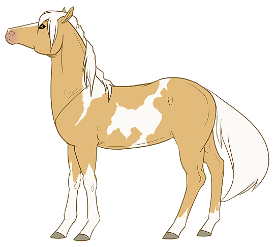 equine female feral hooves horse mammal mane pony solo tail