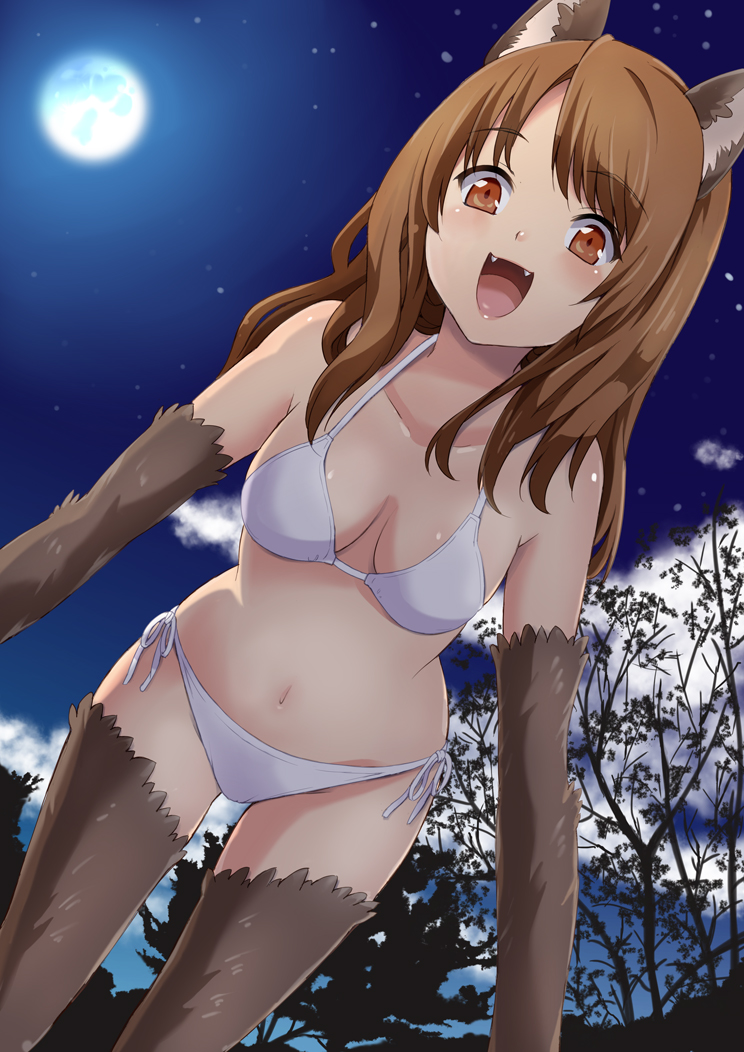 animal_ears bikini blue_door breasts brown_eyes brown_hair cleavage fangs full_moon long_hair medium_breasts moon navel open_mouth original side-tie_bikini smile solo swimsuit tail thighhighs wolf_ears wolf_tail