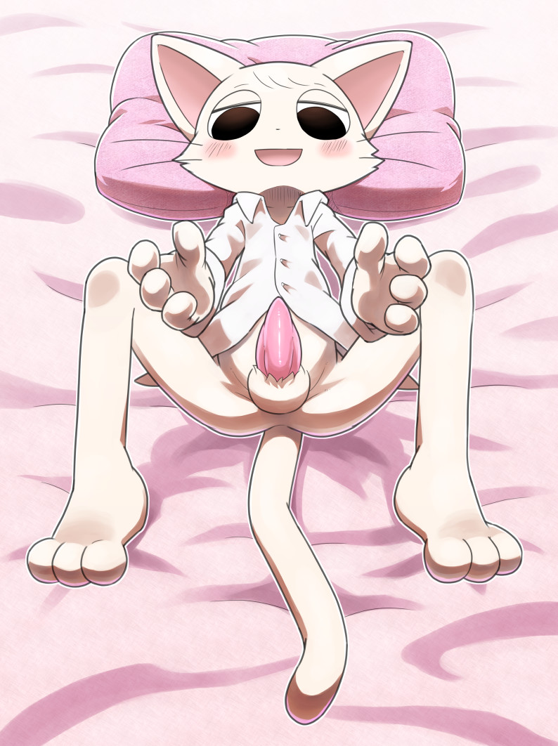 4_fingers anthro balls blush bottomless cat clothed clothing dress_shirt erection feline fur lying male mammal ofuro on_back penis pillow shirt solo spread_legs spreading tapering_penis whiskers white_fur