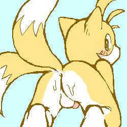 butt canine cub fox fur green_eyes kitsune low_res male mammal miles_prower multiple_tails penis sega solo sonic_(series) tail uncensored unknown_artist yellow yellow_fur young