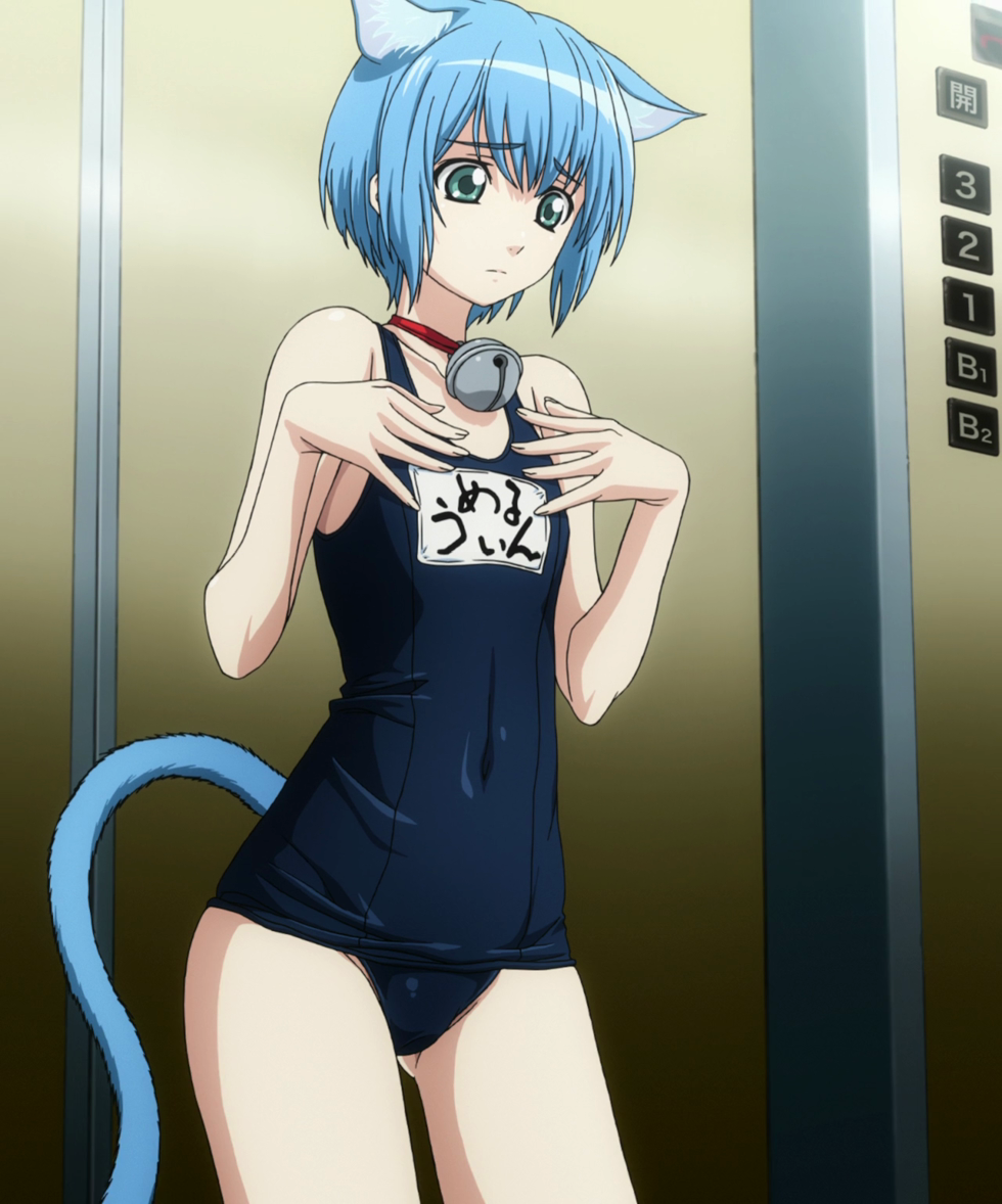 1girl alien animal_ears aqua_eyes asobi_ni_iku_yo! bare_shoulders bell bell_collar blue_hair cat_ears cat_tail catgirl catian clothed_navel elevator flat_chest frown highres hips jingle_bell_collar melwin melwin_(asobi_ni_iku_yo!) name_tag navel one-piece_swimsuit school_swimsuit screencap short_hair skin_tight solo standing swimsuit tail