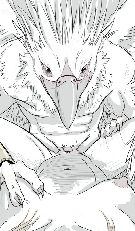 avian breast_grab breasts duo female female_pov first_person_view gryphon human human_on_anthro interspecies looking_at_viewer lying male mammal missionary_position nude on_back penetration penis pussy sex sketch spread_legs spreading straight syrinoth vaginal vaginal_penetration
