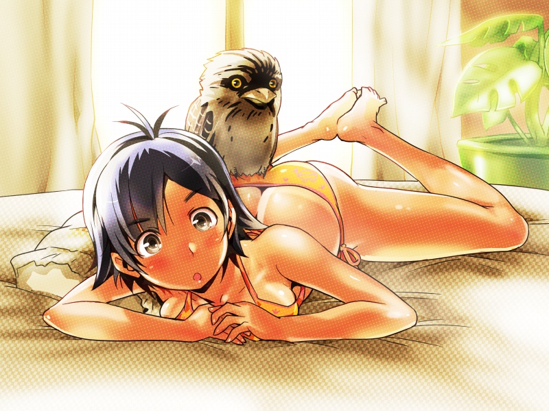 :o bad_id bad_pixiv_id barefoot bed bikini bird black_eyes black_hair butt_crack feet_together frogmouth fujisawa_takashi lying on_stomach original plant short_hair side-tie_bikini solo swimsuit