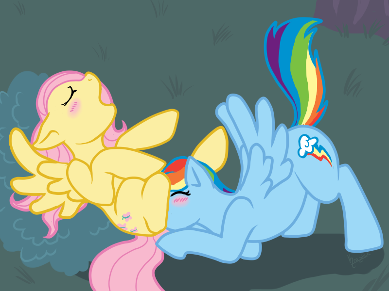 fluttershy friendship_is_magic my_little_pony rainbow_dash tagme