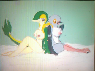 pidove pokemon snivy tagme