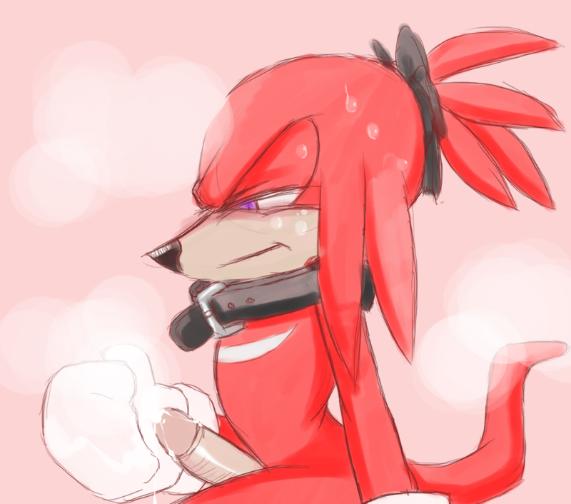 knuckles_the_echidna sonic_team tagme