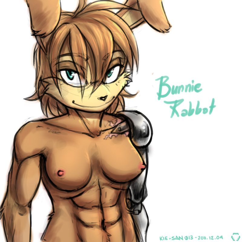 breasts bunnie_rabbot charisma cyborg female lagomorph lapine looking_at_viewer mammal mechanical_limb muscles muscular_female nipples rabbit sega solo sonic_(series)