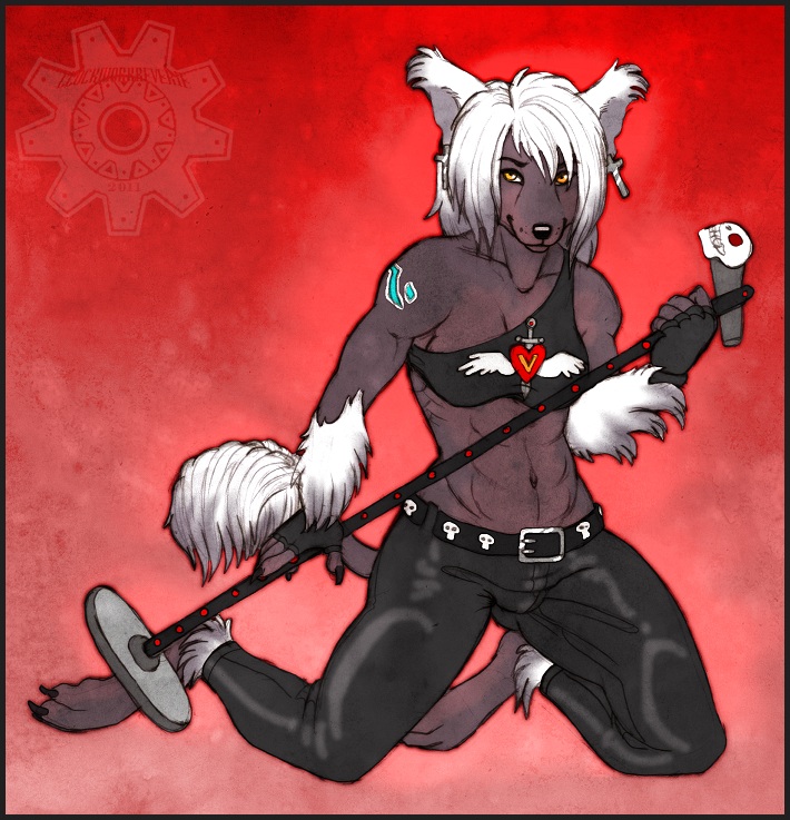 &dagger; bulge canine chinese_crested chinese_crested_dog cross dickgirl dog ear_piercing earring fluff goth hair heavy herm intersex kneeling leather mammal metal microphone piercing pose rocker singer sixty skull solo white_hair yellow_eyes zenithfoxie