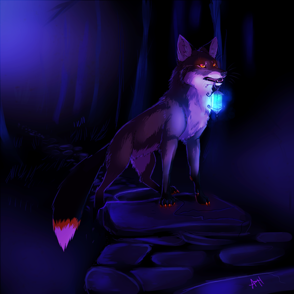feral firefox_breed fox lantern mammal solo vengefulspirits