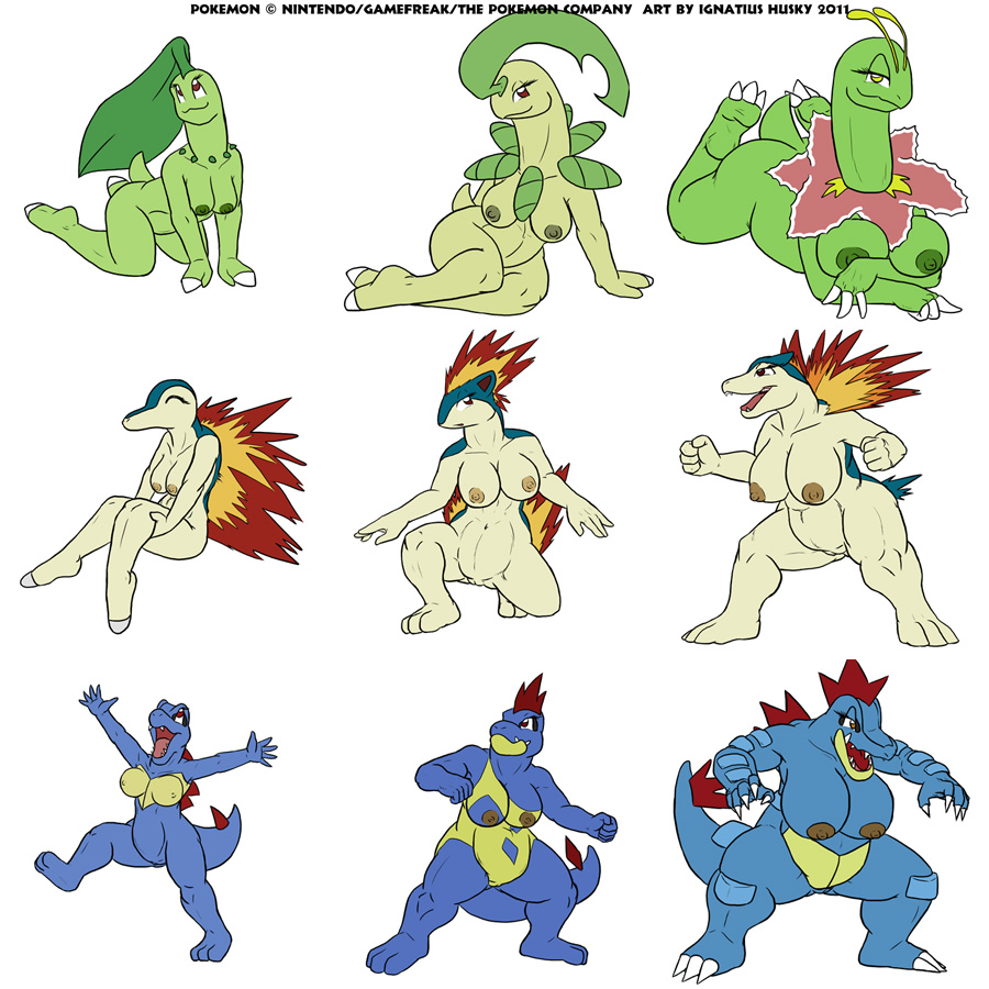 anthro anthrofied bayleef big_breasts breasts chikorita croconaw cyndaquil female feraligatr fire huge_breasts ignatius_husky meganium nintendo nipples nude plain_background pok&#233;mon pok&#233;morph pokemon quilava scalie totodile typhlosion video_games white_background