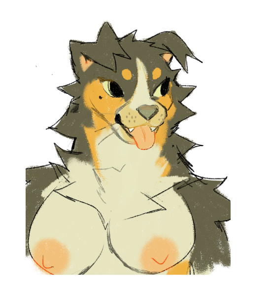 2019 anthro areola bernese_mountain_dog black_eyes breasts brown_body brown_ears brown_fur bust_portrait button_ears canid canine canis cheek_tuft countershade_fur countershading digital_media_(artwork) domestic_dog ear_tuft facial_tuft fangs female floppy_ears fur grey_nose mammal molosser mountain_dog neck_tuft nipples nude open_mouth orange_areola orange_body orange_fur orange_nipples pink_tongue portrait shoulder_tuft simple_background smile solo swiss_mountain_dog tan_body tan_breasts tan_countershading tan_fur tan_sclera teeth thorn_paw tongue tongue_out tuft white_background
