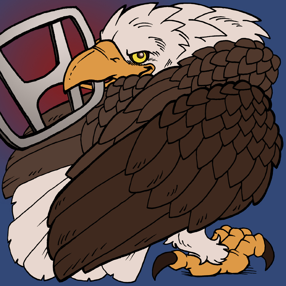 ambiguous_gender bald_eagle beak brown claws eagle feral gradient_background honda kaemantis solo white yellow_eyes