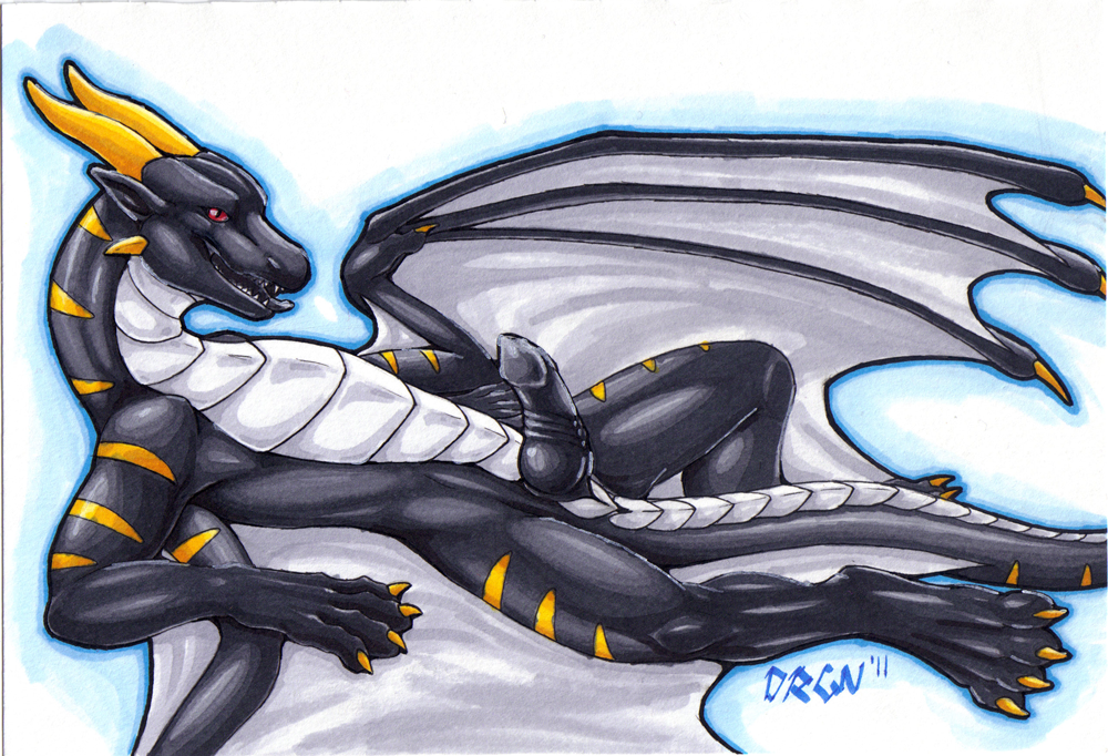 black_dragon dragon drgn8d erection looking_at_viewer male penis plain_background solo tail wings xerxes