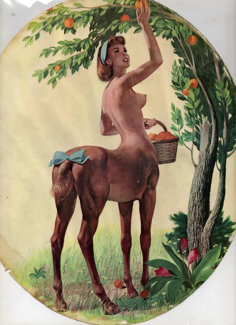 basket breasts centaur equine female flower grass headband headgear hooves human leaf mammal nipples orange orange_(fruit) ren_wicks scenery taur tree unknown_artist wood