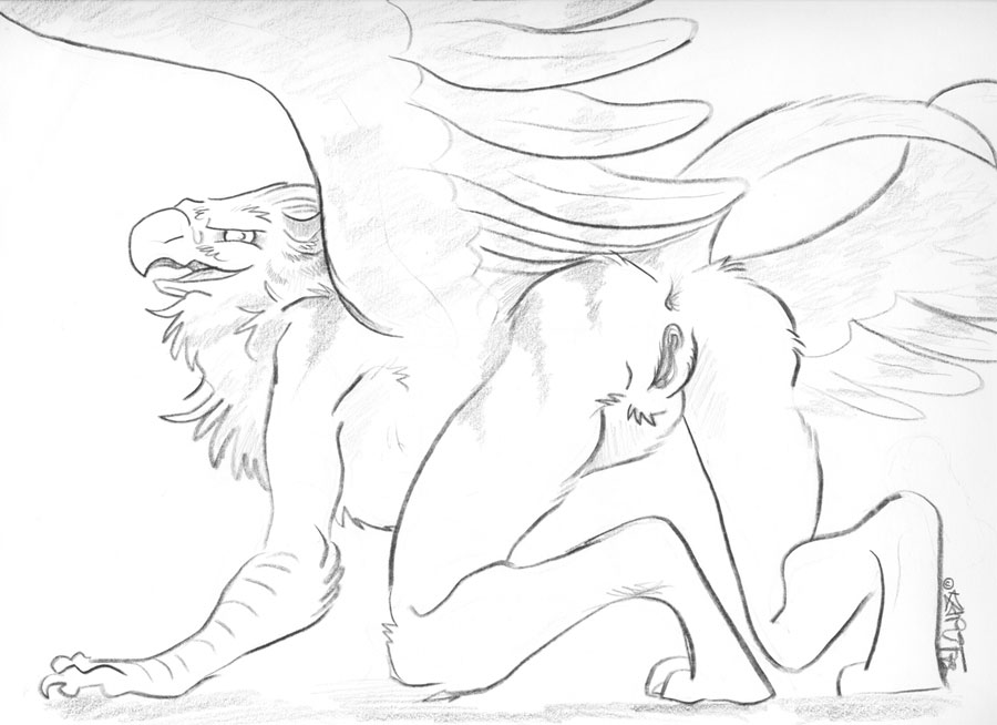 all_fours anthro anus avian beak butt female gryphon kaputotter nude presenting presenting_hindquarters pussy raised_tail sketch solo spread_wings tail wings