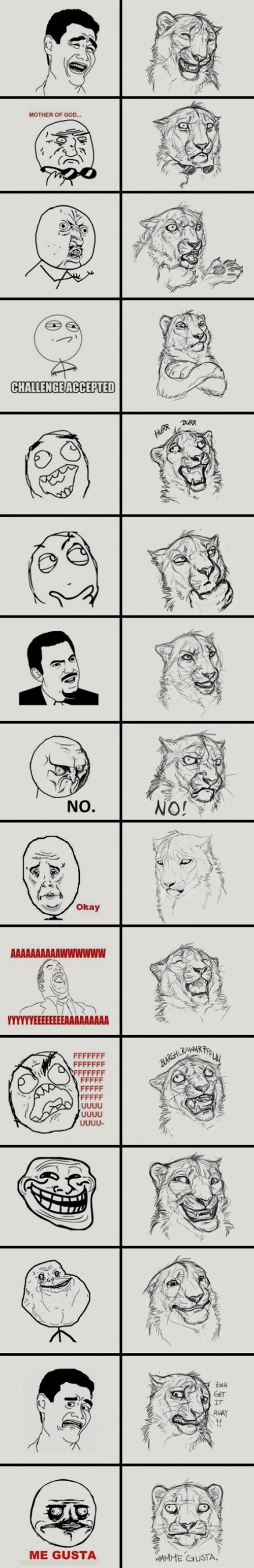 black_white feline lion meme tagme