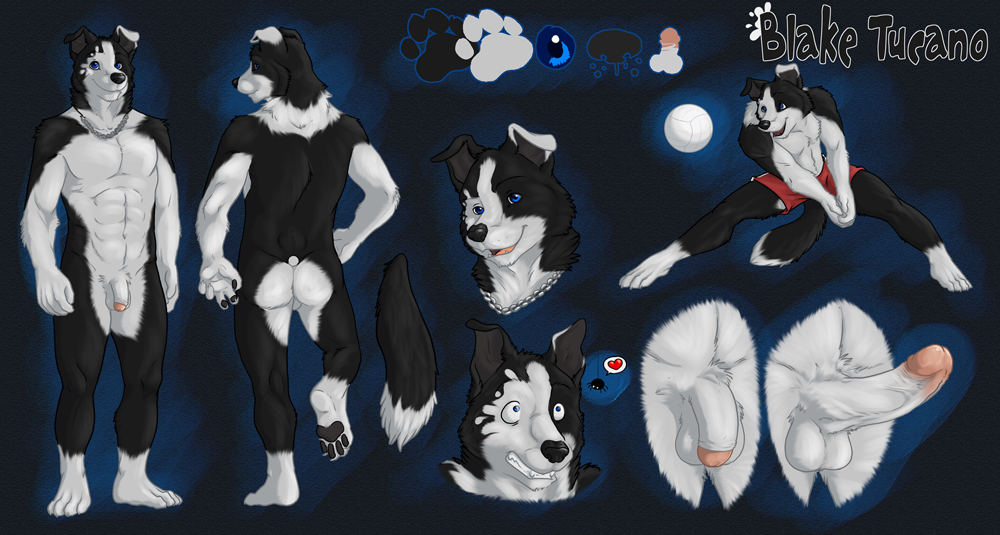 &hearts; athletic ball balls black blake blotch_dog border_collie butt canine character clothing dog eclipsewolf erection male model_sheet penis shorts solo spider tucano tucpile volleyball white