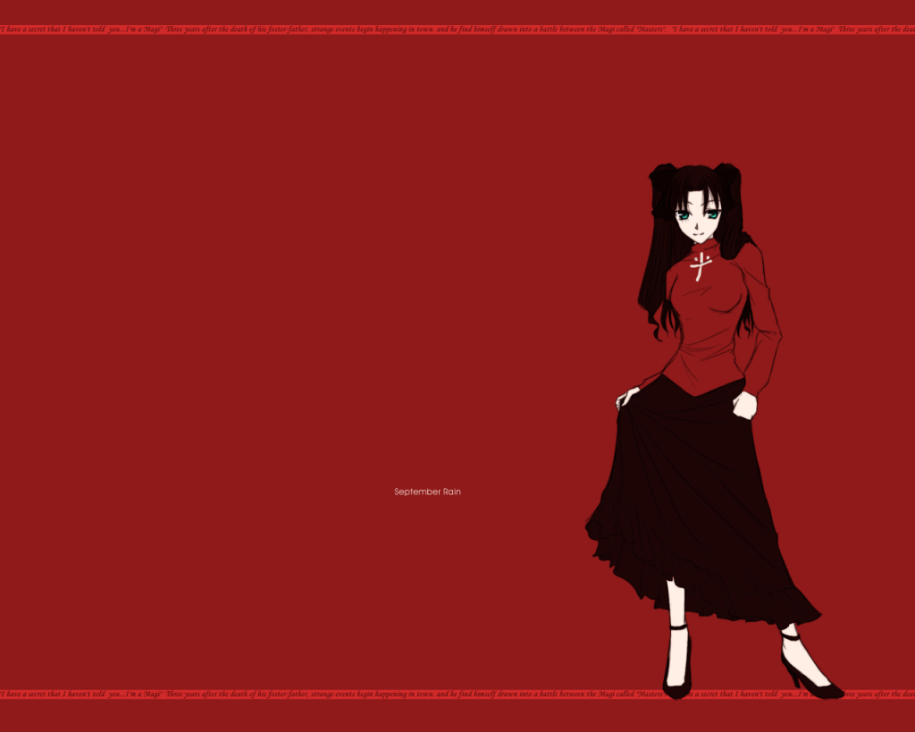 fate/stay_night fate_(series) long_legs non-web_source skirt solo toosaka_rin wallpaper