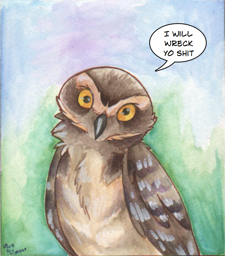ambiguous_gender avian beak bird burrowing_owl dialog dialogue english_text feral looking_at_viewer owl pmoss reaction_image text yellow_eyes