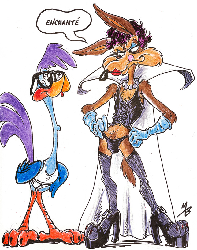 looney_tunes roadrunner tagme wile_e_coyote