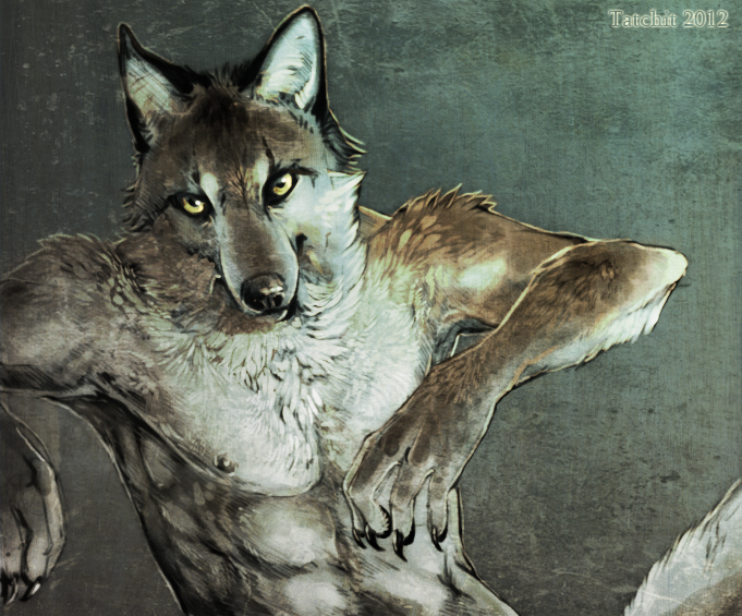 fur grey grey_fur male mammal nipples solo tatchit toned topless wolf yellow_eyes