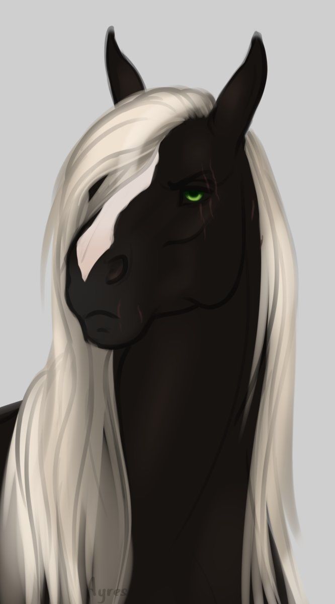 2018 anuta_belko apollo_(apollo13) black_fur black_sclera bust_portrait digital_media_(artwork) equine eye_scar facial_scar feral frown fur green_eyes grey_background horse male mammal mane multicolored_fur portrait scar simple_background solo two_tone_fur white_fur white_mane