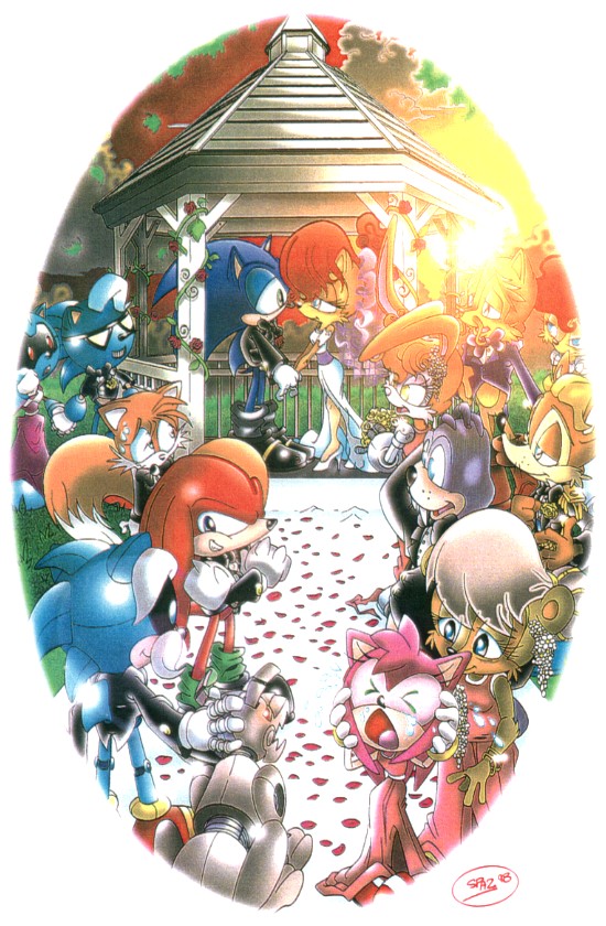 amy_rose anthro antoine_d'coolette antoine_d'coolette bunnie bunnie_rabbot canine confetti crying fox fox_tail hedgehog knuckles_the_echidna mammal miles_prower rabbot rotor_the_walrus sally_acorn sega sonic_(series) sonic_the_hedgehog spaz sunset sweat sweatdrop tails wedding
