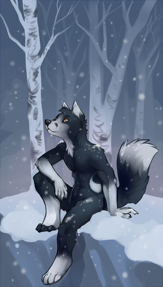 blue_fur canine demicoeur forest fox fur hybrid male mammal nude outside scenery snow solo tree winter wolf wood