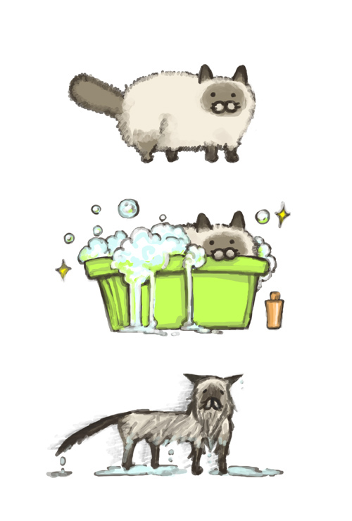 ambiguous_gender bathtub bottle bubble bubbles cat dripping feline feral fluffy fluffy_tail fur grey_fur in_container looking_at_viewer mammal noja plain_background puddle solo sparkle standing the_truth tub water wet white_background white_fur