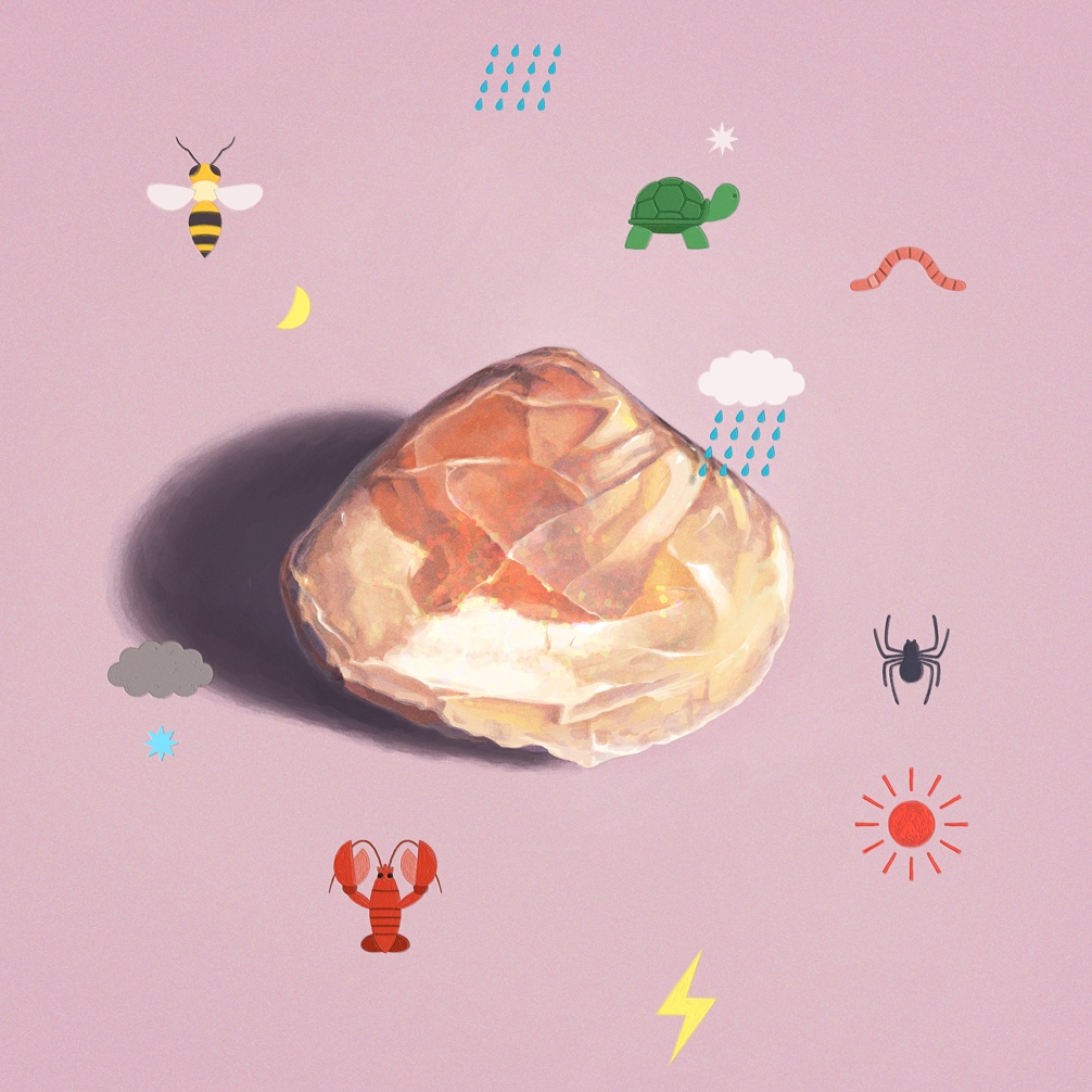 bee bug cloud commentary crescent english_commentary gelande lightning_bolt_symbol lobster mixed-language_commentary no_humans object_focus opal_(gemstone) original pink_background rain shadow simple_background simple_bird spider sun_symbol turtle worm