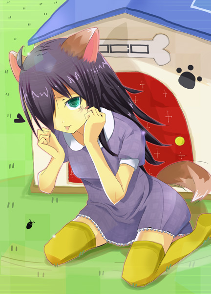 ahoge animal_ears artist_request bags_under_eyes black_hair dog_ears dog_house dog_tail doghouse dress green_eyes kneeling kuroki_tomoko long_hair outdoors outside tail thighhighs tomoko_kuroki tongue watashi_ga_motenai_no_wa_dou_kangaete_mo_omaera_ga_warui! watashi_ga_motenai_no_wa_dou_kangaetemo_omaera_ga_warui!