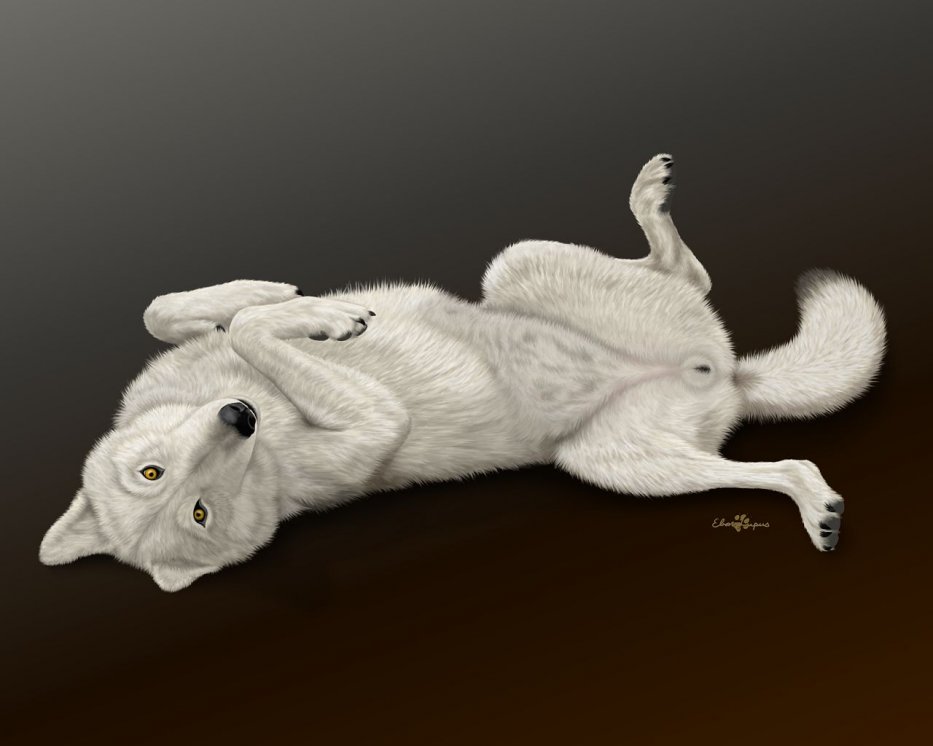 anatomically_correct anatomically_correct_pussy animal_genitalia canine canine_pussy ebon_lupus female feral mammal pussy solo wolf