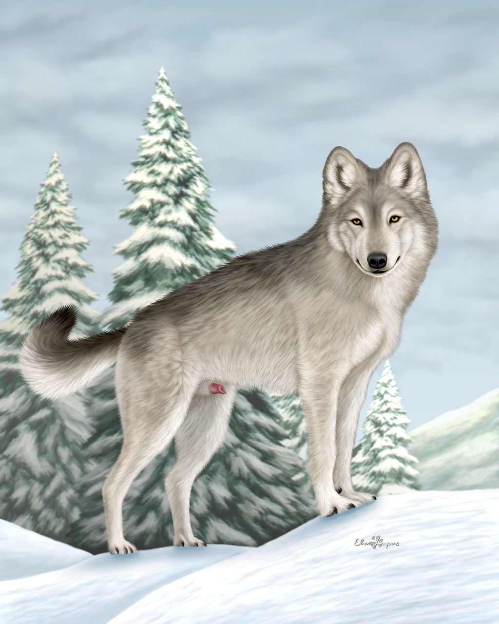 anatomically_correct animal_genitalia canine canine_penis ebon_lupus erection feral male mammal penis snow snoww solo winter wolf