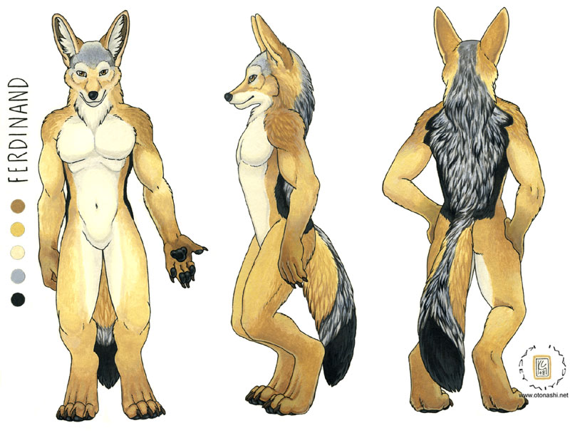 anthro canine ferdinand jackal kacey male mammal model_sheet nude plain_background pose solo