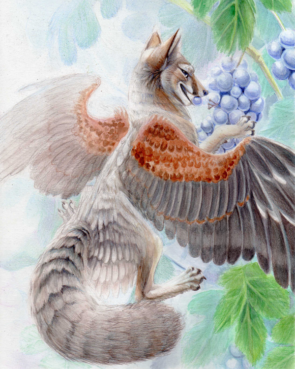 canine flying fox grape hibbary hybrid mammal micro solo wings