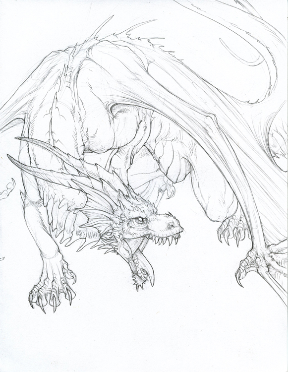 dragon feral hibbary horn sketch solo wings