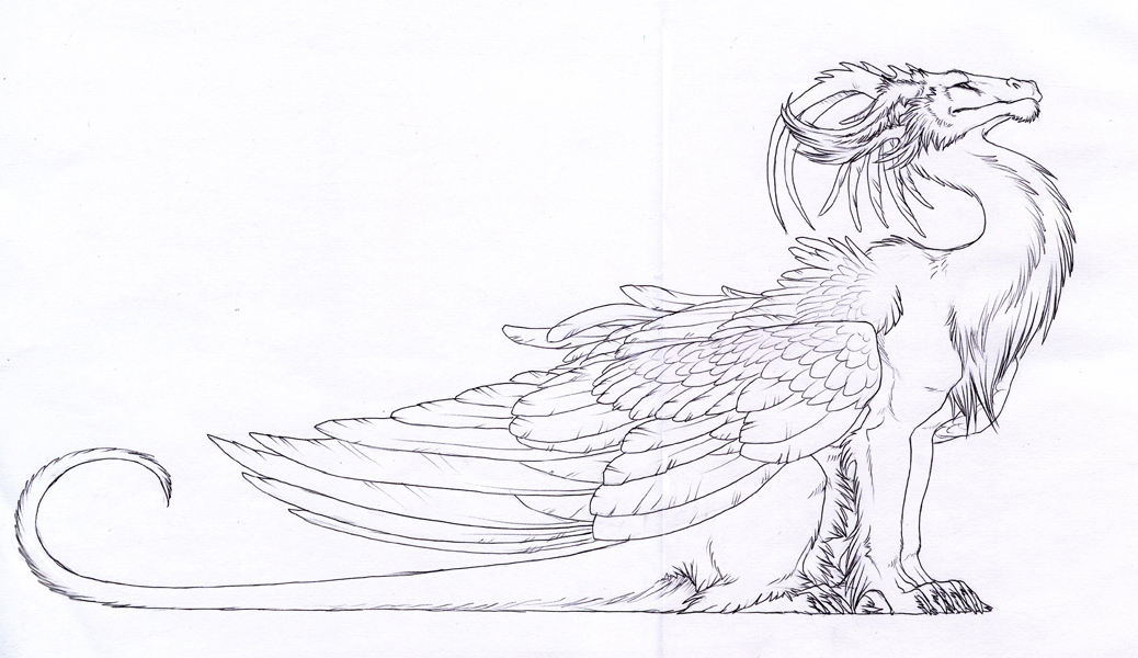 dragon feral hibbary line_art monochrome plain_background sketch smug solo wings