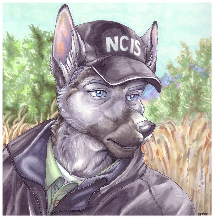 blue_eyes canine dog hat male mammal nature ncis solo wielder