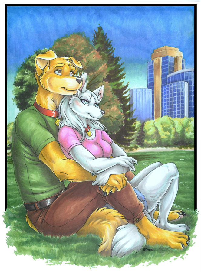 anthro blush canine collar couple dog duo embrace female grass male mammal outside sitting smile wielder wolf