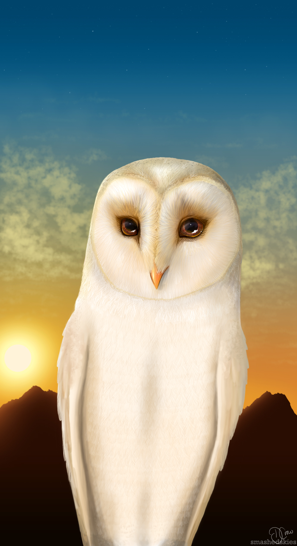 barn_owl coryn feral guardians_of_ga'hoole guardians_of_ga'hoole male owl smashedskies solo