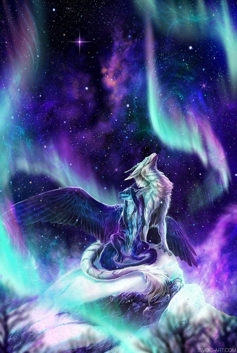 2019 black_feathers detailed_background digital_media_(artwork) dragon duo feathered_dragon feathered_wings feathers feral fur furred_dragon isvoc night outside sitting sky star starry_sky white_fur wings